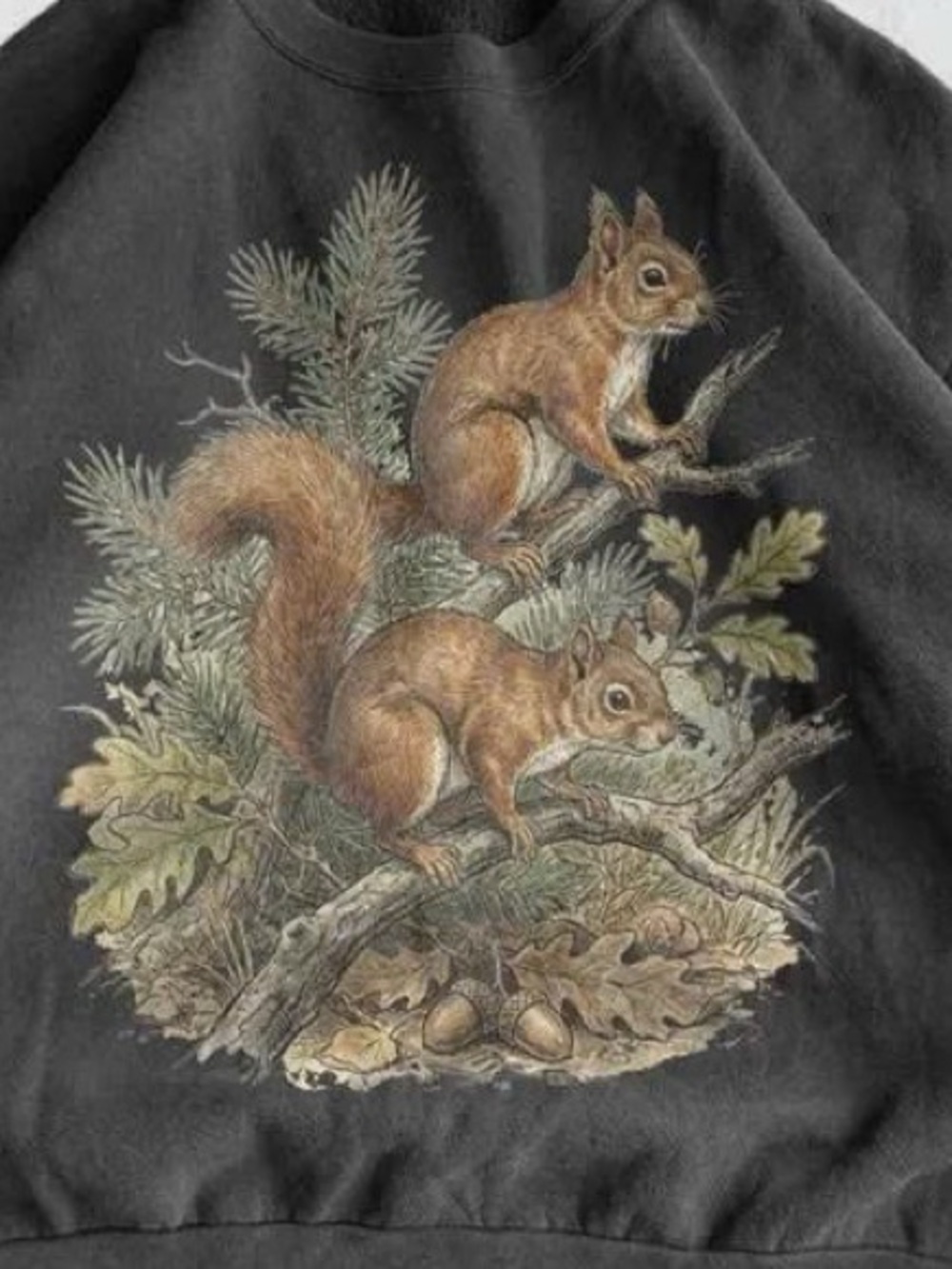 Men's Black Sweatshirt with Squirrel Nature Print - Picture 2 of 2